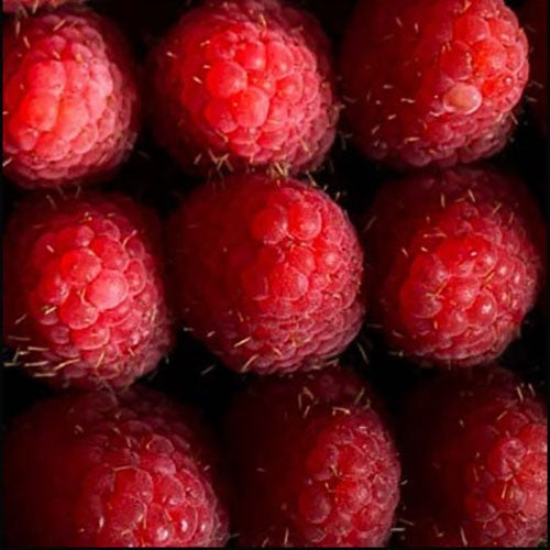 Raspberry Truffles